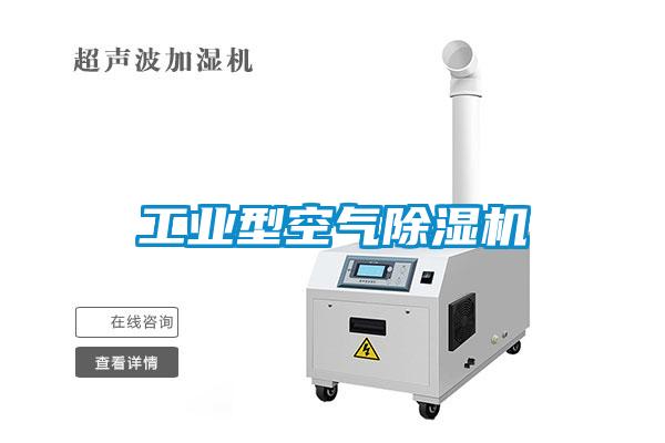 工業(yè)型空氣除濕機(jī)
