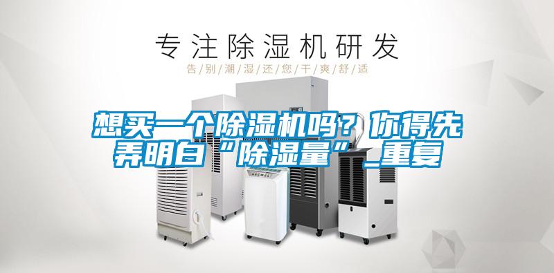想買一個(gè)除濕機(jī)嗎？你得先弄明白“除濕量”_重復(fù)