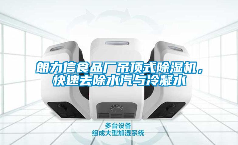 朗力信食品廠吊頂式除濕機(jī)，快速去除水汽與冷凝水