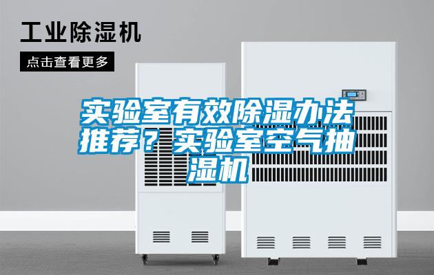 實驗室有效除濕辦法推薦？實驗室空氣抽濕機
