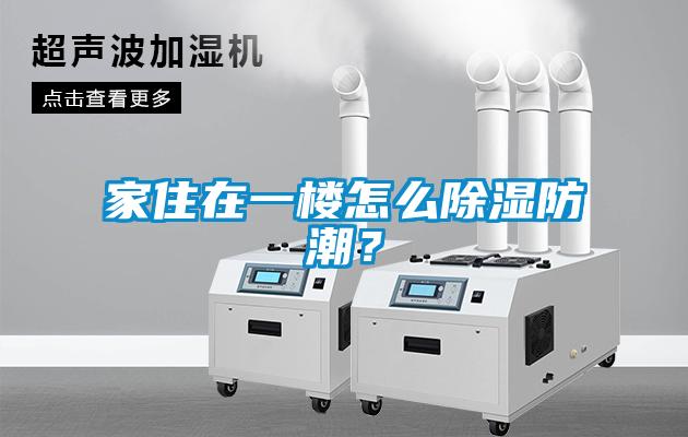 家住在一樓怎么除濕防潮？