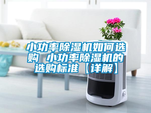 小功率除濕機(jī)如何選購(gòu) 小功率除濕機(jī)的選購(gòu)標(biāo)準(zhǔn)【詳解】