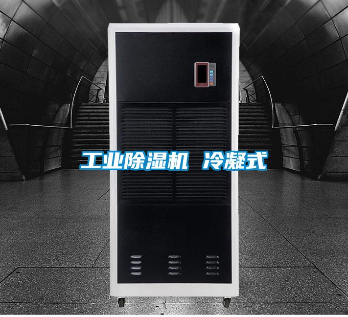 工業(yè)除濕機(jī) 冷凝式