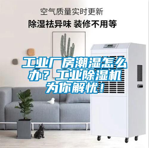 工業(yè)廠房潮濕怎么辦？工業(yè)除濕機(jī)為你解憂！