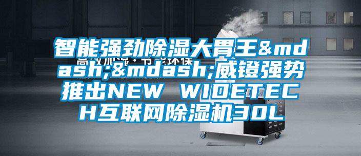 智能強勁除濕大胃王——威鐙強勢推出NEW WIDETECH互聯(lián)網除濕機30L