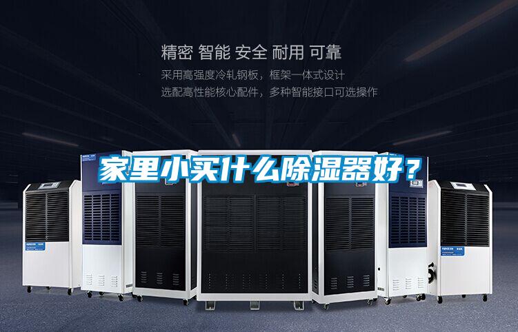 家里小買(mǎi)什么除濕器好？