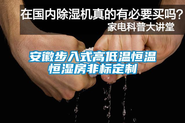 安徽步入式高低溫恒溫恒濕房非標定制