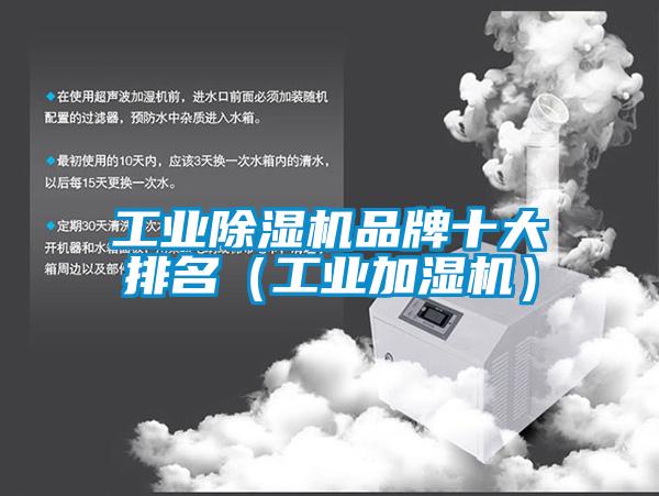 工業(yè)除濕機品牌十大排名（工業(yè)加濕機）