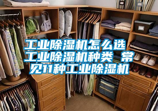 工業(yè)除濕機(jī)怎么選 工業(yè)除濕機(jī)種類(lèi) 常見(jiàn)11種工業(yè)除濕機(jī)