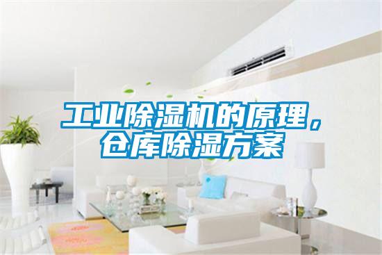工業(yè)除濕機的原理，倉庫除濕方案