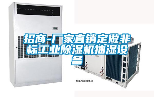 招商-廠家直銷定做非標(biāo)工業(yè)除濕機抽濕設(shè)備