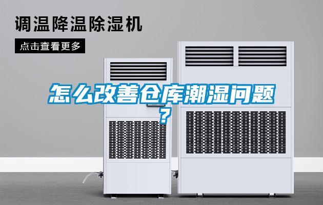 怎么改善倉庫潮濕問題？