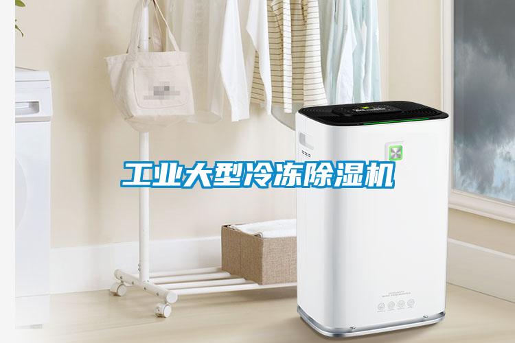 工業(yè)大型冷凍除濕機(jī)