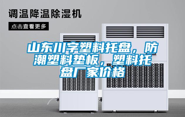 山東川字塑料托盤(pán)，防潮塑料墊板，塑料托盤(pán)廠(chǎng)家價(jià)格