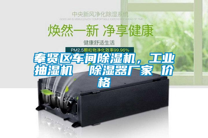 奉賢區(qū)車間除濕機，工業(yè)抽濕機  除濕器廠家 價格