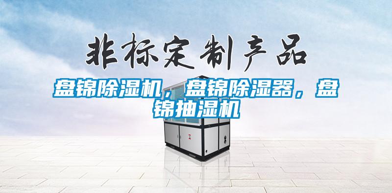 盤錦除濕機(jī)，盤錦除濕器，盤錦抽濕機(jī)