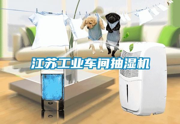 江蘇工業(yè)車(chē)間抽濕機(jī)