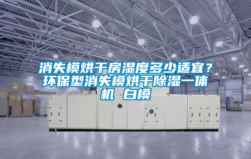 消失模烘干房濕度多少適宜？環(huán)保型消失模烘干除濕一體機 白模