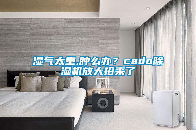 濕氣太重,腫么辦？cado除濕機放大招來了