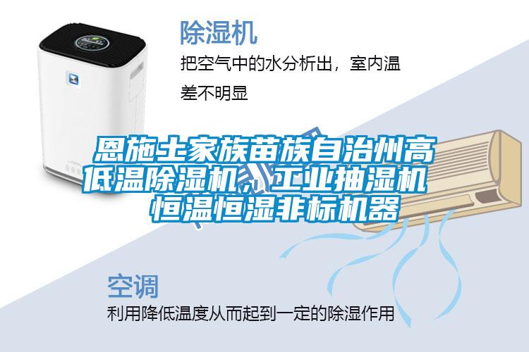 恩施土家族苗族自治州高低溫除濕機，工業(yè)抽濕機  恒溫恒濕非標(biāo)機器