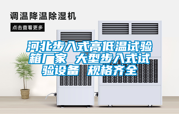 河北步入式高低溫試驗箱廠家 大型步入式試驗設(shè)備 規(guī)格齊全