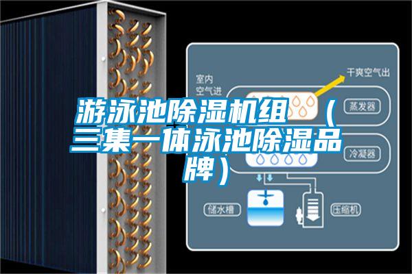 游泳池除濕機(jī)組 （三集一體泳池除濕品牌）