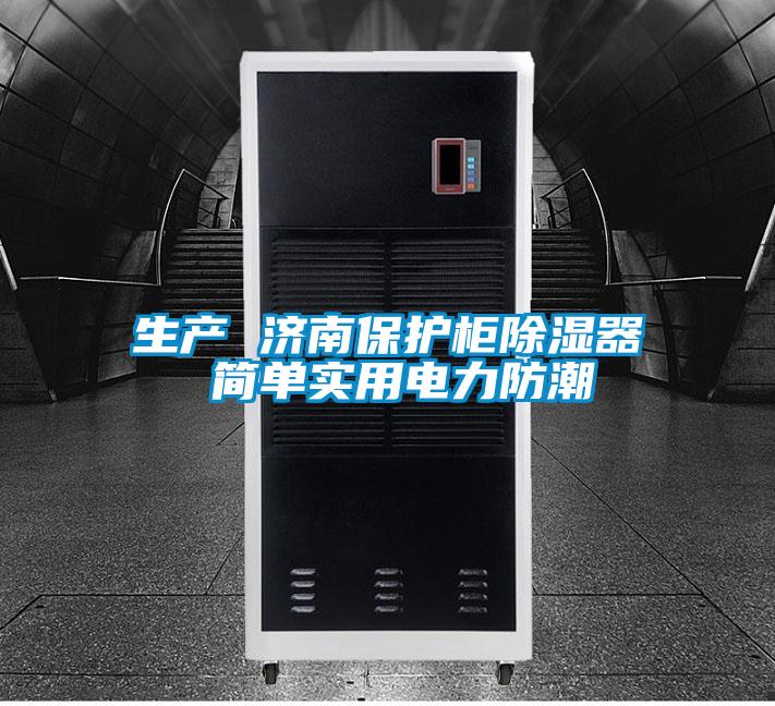生產(chǎn) 濟(jì)南保護(hù)柜除濕器 簡(jiǎn)單實(shí)用電力防潮