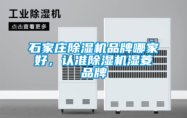 石家莊除濕機(jī)品牌哪家好，認(rèn)準(zhǔn)除濕機(jī)濕菱品牌