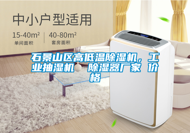 石景山區(qū)高低溫除濕機(jī)，工業(yè)抽濕機(jī)  除濕器廠家 價格