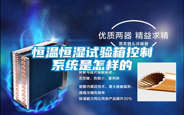 恒溫恒濕試驗箱控制系統(tǒng)是怎樣的