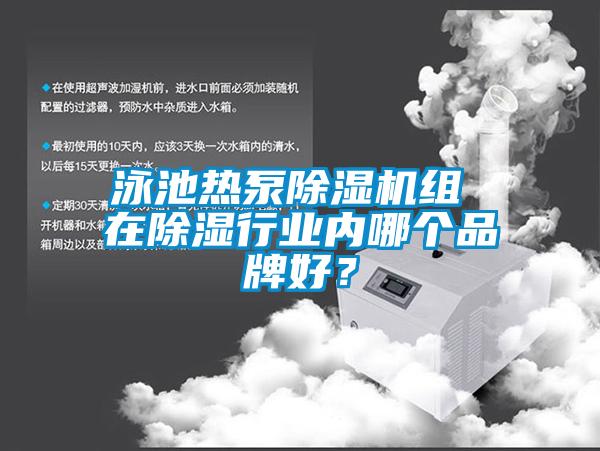泳池?zé)岜贸凉駲C(jī)組 在除濕行業(yè)內(nèi)哪個品牌好？