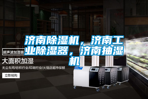 濟(jì)南除濕機(jī)，濟(jì)南工業(yè)除濕器，濟(jì)南抽濕機(jī)