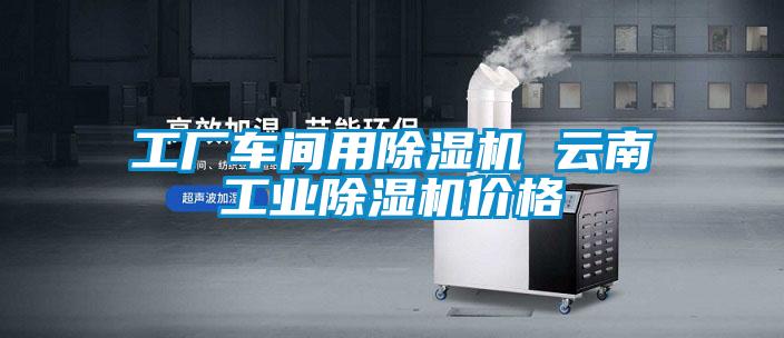 工廠車間用除濕機(jī) 云南工業(yè)除濕機(jī)價(jià)格