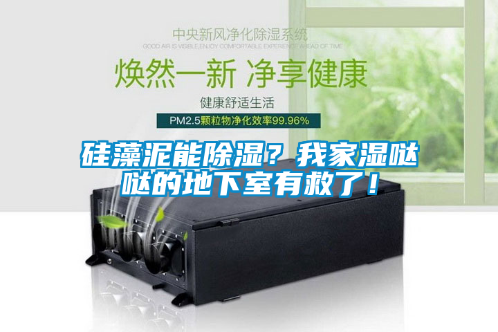 硅藻泥能除濕？我家濕噠噠的地下室有救了！