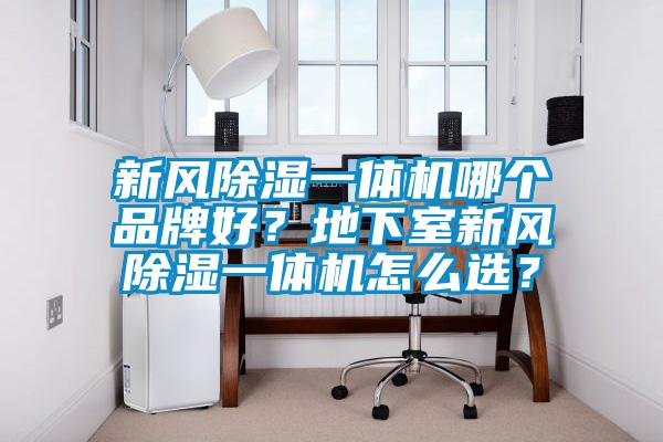 新風(fēng)除濕一體機(jī)哪個(gè)品牌好？地下室新風(fēng)除濕一體機(jī)怎么選？