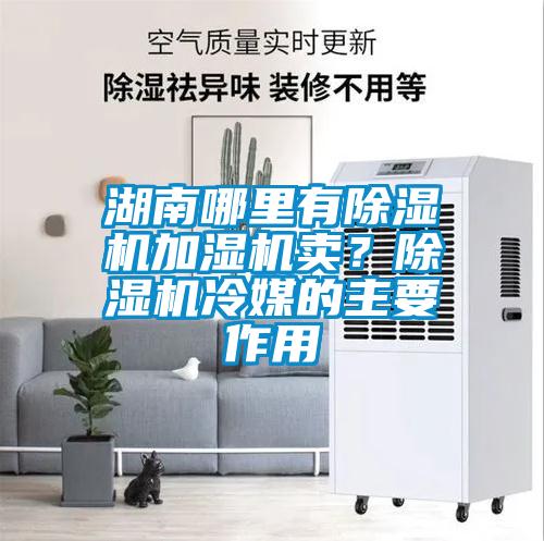湖南哪里有除濕機(jī)加濕機(jī)賣(mài)？除濕機(jī)冷媒的主要作用