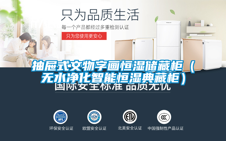 抽屜式文物字畫恒濕儲(chǔ)藏柜（無水凈化智能恒濕典藏柜）