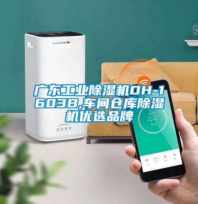 廣東工業(yè)除濕機(jī)DH-1603B,車間倉(cāng)庫(kù)除濕機(jī)優(yōu)選品牌