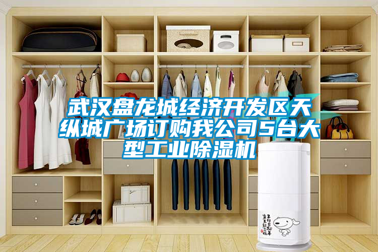 武漢盤龍城經(jīng)濟(jì)開發(fā)區(qū)天縱城廣場(chǎng)訂購我公司5臺(tái)大型工業(yè)除濕機(jī)