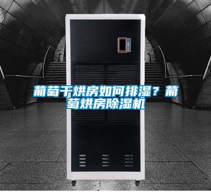 葡萄干烘房如何排濕？葡萄烘房除濕機(jī)