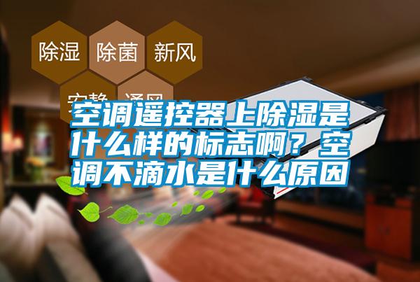 空調(diào)遙控器上除濕是什么樣的標(biāo)志啊？空調(diào)不滴水是什么原因
