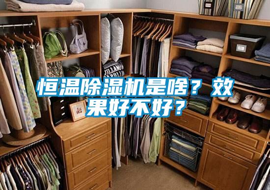 恒溫除濕機是啥？效果好不好？