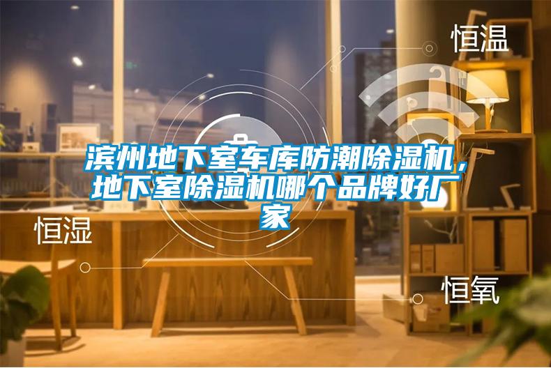 濱州地下室車庫防潮除濕機(jī)，地下室除濕機(jī)哪個(gè)品牌好廠家