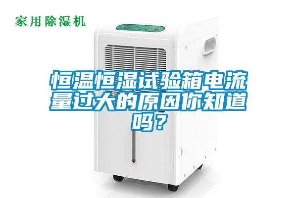 恒溫恒濕試驗(yàn)箱電流量過大的原因你知道嗎？