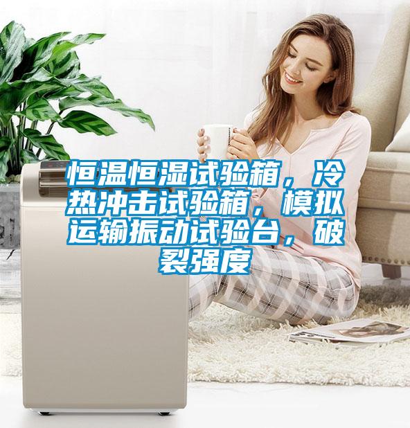 恒溫恒濕試驗(yàn)箱，冷熱沖擊試驗(yàn)箱，模擬運(yùn)輸振動(dòng)試驗(yàn)臺(tái)，破裂強(qiáng)度