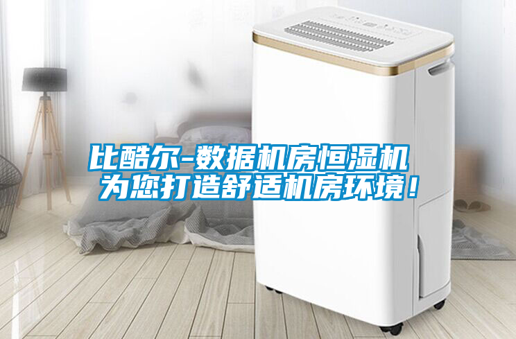 比酷爾-數(shù)據(jù)機(jī)房恒濕機(jī) 為您打造舒適機(jī)房環(huán)境！