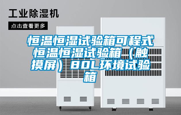 恒溫恒濕試驗箱可程式恒溫恒濕試驗箱（觸摸屏）80L環(huán)境試驗箱