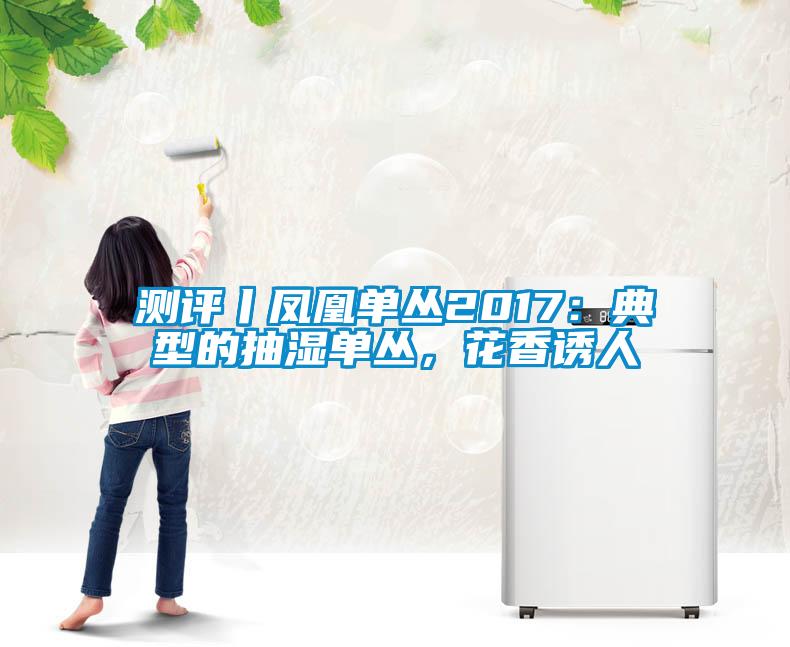 測(cè)評(píng)丨鳳凰單叢2017：典型的抽濕單叢，花香誘人