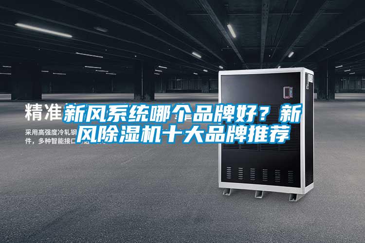 新風(fēng)系統(tǒng)哪個品牌好？新風(fēng)除濕機十大品牌推薦