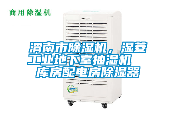 渭南市除濕機(jī)，濕菱工業(yè)地下室抽濕機(jī)  庫(kù)房配電房除濕器